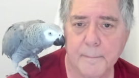 TeleTefila participant on ZOOM